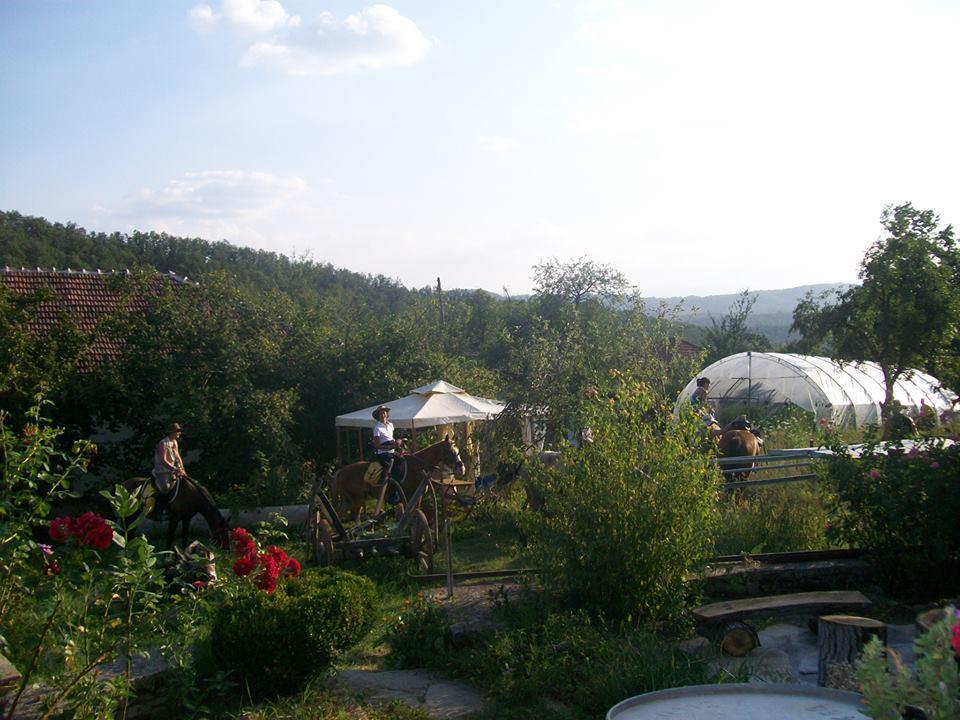 Staroto Shkolo House - Rooms For Guests Subotkovtsi Bagian luar foto
